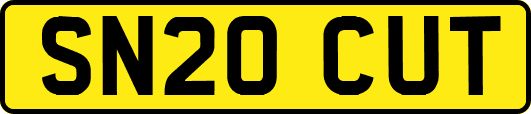 SN20CUT