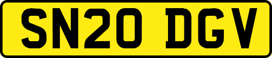 SN20DGV