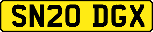SN20DGX