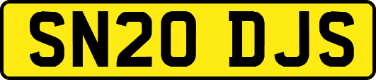 SN20DJS