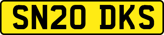SN20DKS