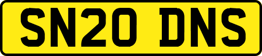 SN20DNS