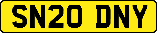 SN20DNY