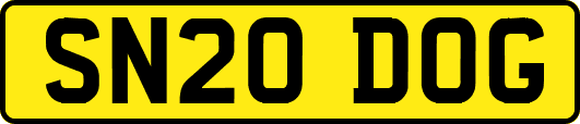 SN20DOG