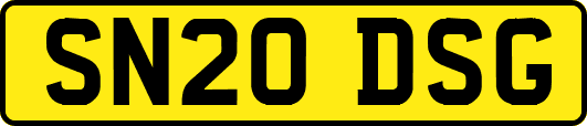SN20DSG