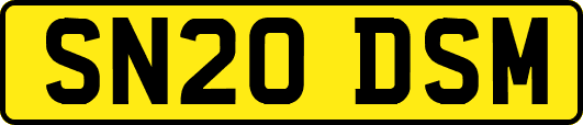 SN20DSM