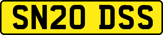 SN20DSS