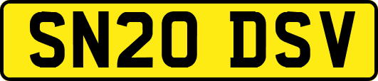 SN20DSV