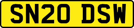 SN20DSW