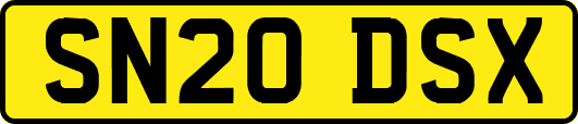 SN20DSX