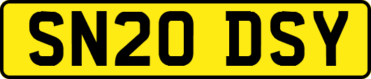 SN20DSY