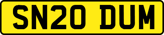 SN20DUM
