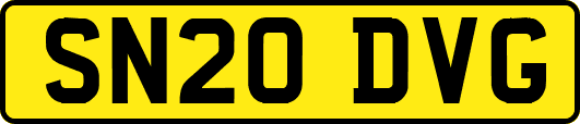 SN20DVG