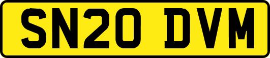 SN20DVM