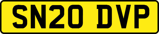 SN20DVP
