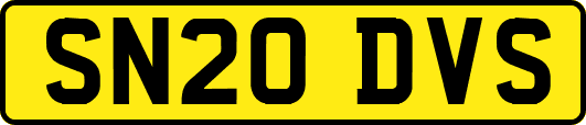 SN20DVS
