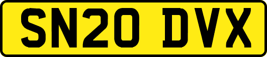 SN20DVX
