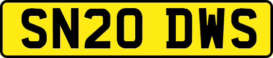 SN20DWS