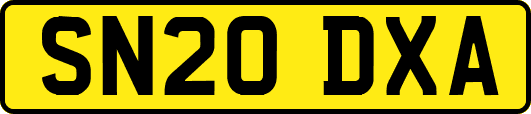 SN20DXA