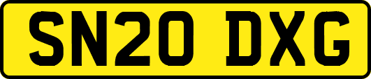 SN20DXG
