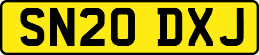 SN20DXJ