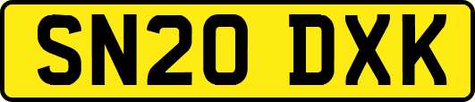 SN20DXK