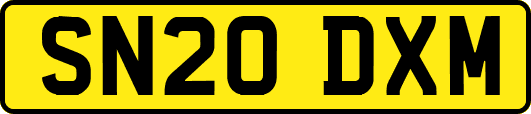 SN20DXM