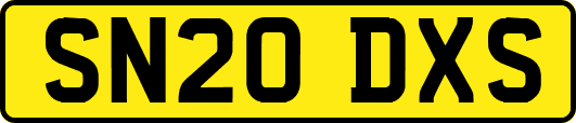 SN20DXS