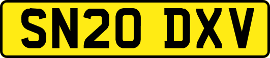 SN20DXV