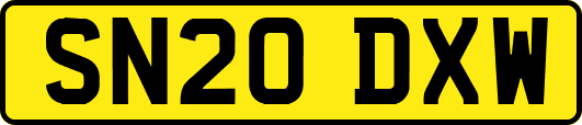 SN20DXW