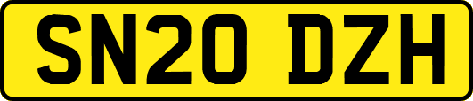 SN20DZH