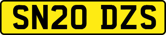 SN20DZS