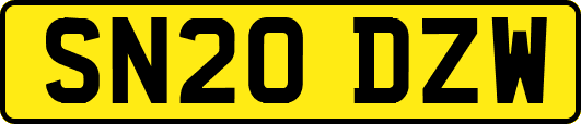 SN20DZW