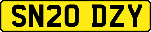 SN20DZY