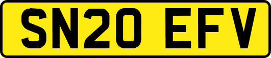 SN20EFV