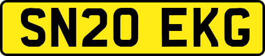 SN20EKG