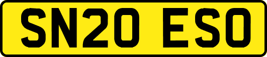 SN20ESO