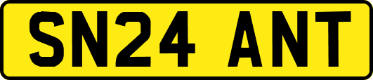 SN24ANT
