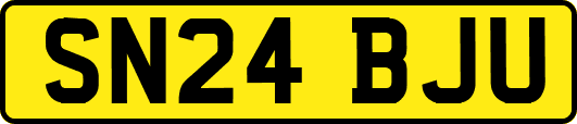 SN24BJU