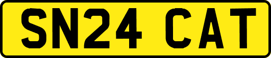 SN24CAT