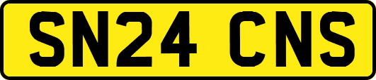 SN24CNS