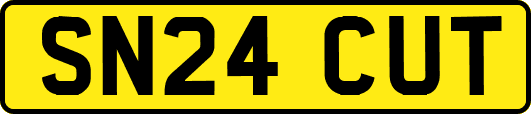 SN24CUT