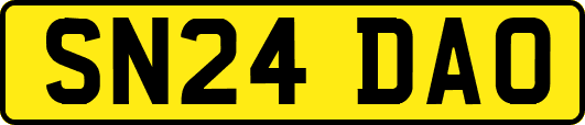 SN24DAO