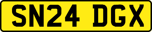 SN24DGX