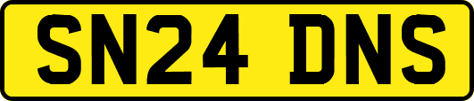 SN24DNS