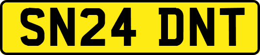 SN24DNT