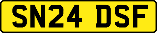 SN24DSF