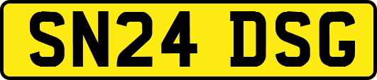SN24DSG