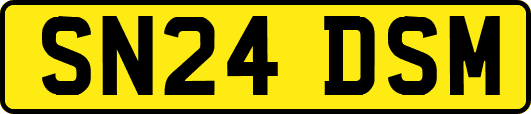 SN24DSM