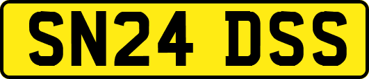 SN24DSS